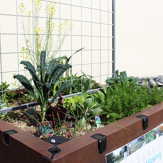 The Health Benefits of Gardening: Cultivating Wellness in Your Backyard