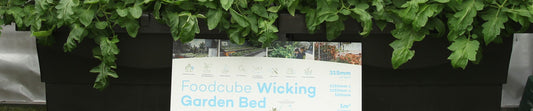 FoodCube the perfect planter for your backyard, school, or community garden.