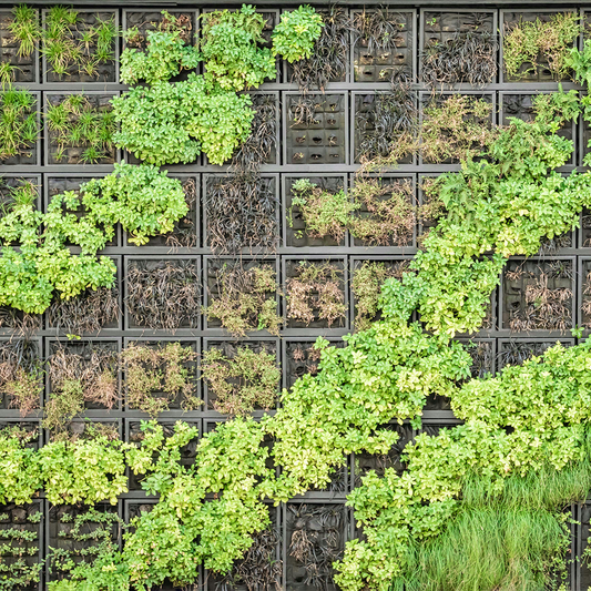 Transform Your Home with Vertical Gardening: The Ultimate Guide to Green Living