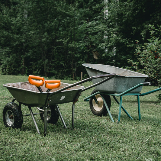Weed Wands vs Weed Pullers - What Is The Best For Weed Removal