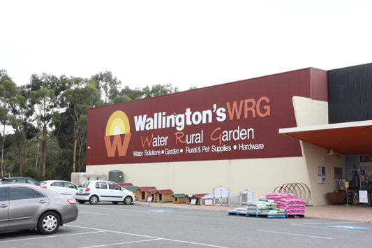 Discovering the Best Pet Shops in Wallingtons, Victoria
