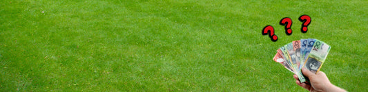 How Much Does Instant Turf Cost