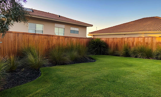 Anco Instant Turf - Nullarbor Santa Ana Couch