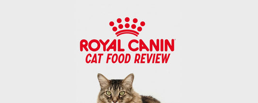 The next big thing in cat food - Royal Canin