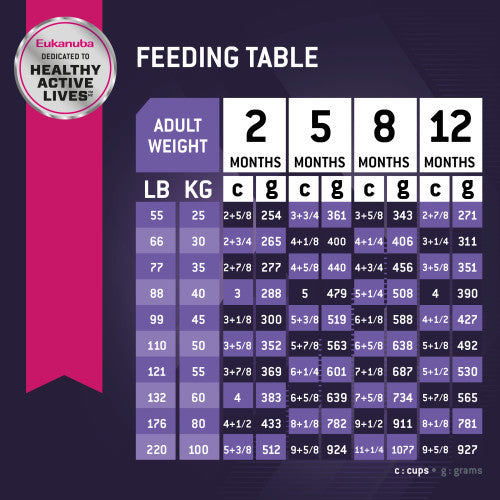 EUKANUBA Puppy Large Breed Dry Dog Food - 15kg