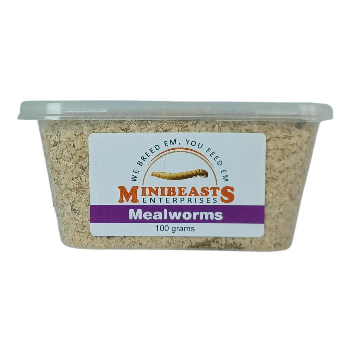MINIBEASTS Mealworms