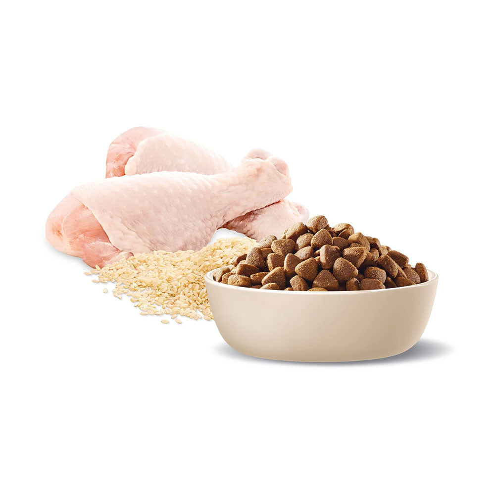 ADVANCE Dental Care Triple Action Adult Large Breed Chicken with Rice Dry Dog Food