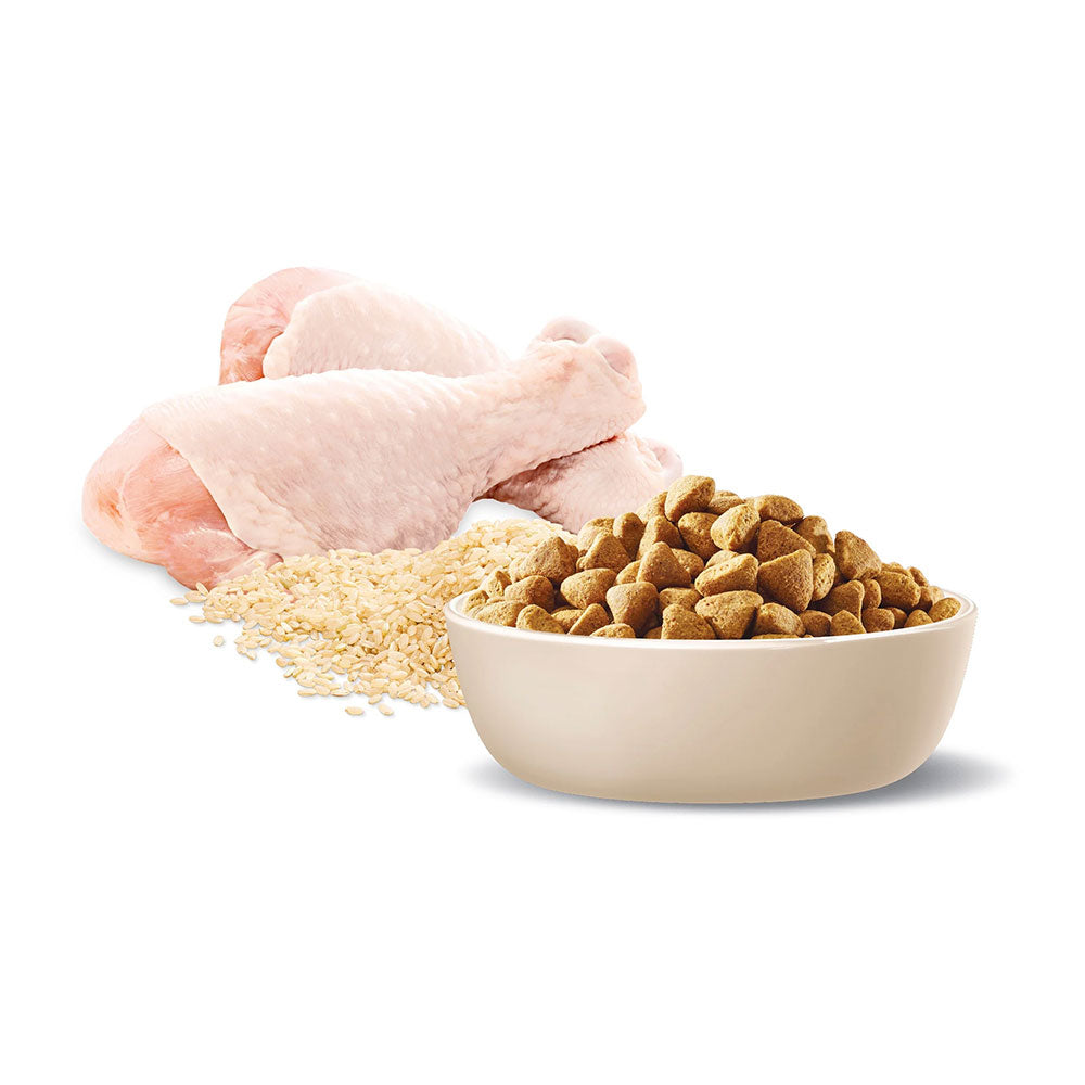 ADVANCE Healthy Weight Adult Medium Breed Chicken with Rice Dry Dog Food