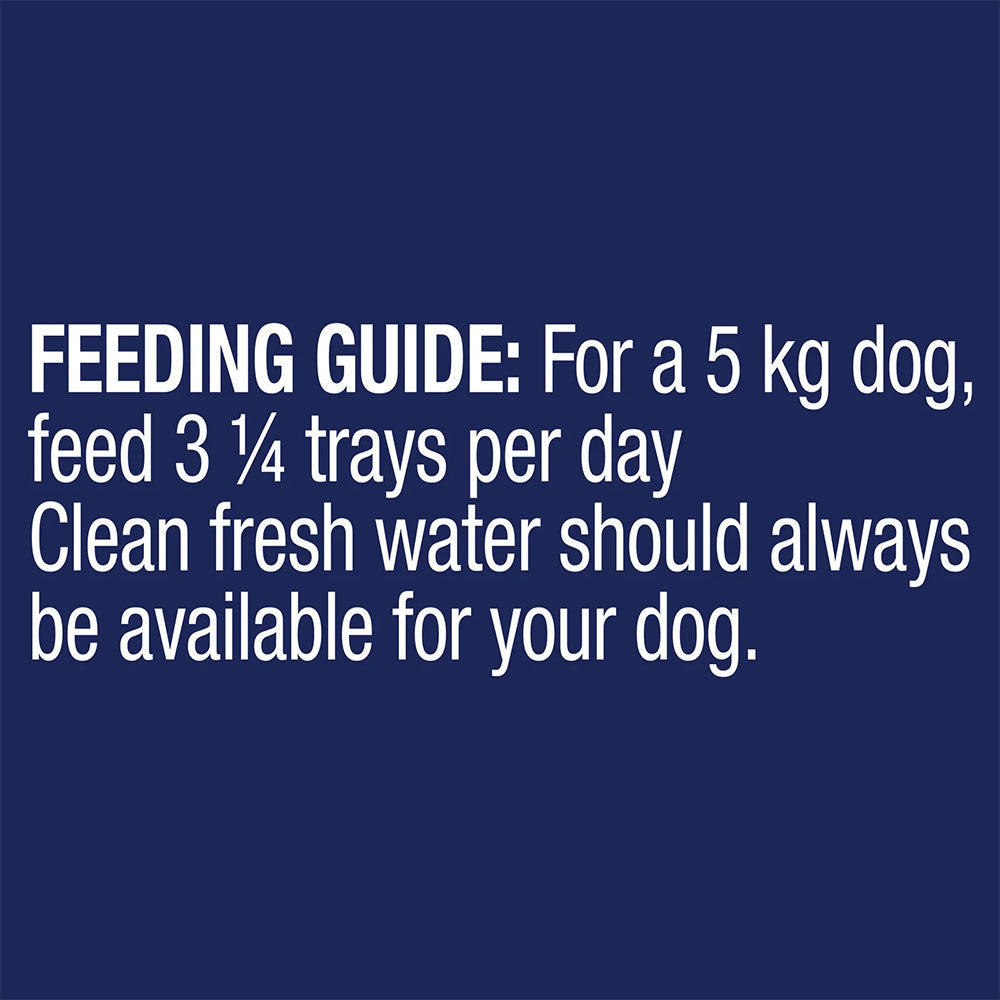 ADVANCE Healthy Weight Adult All Breed Turkey with Rice Trays Wet Dog Food