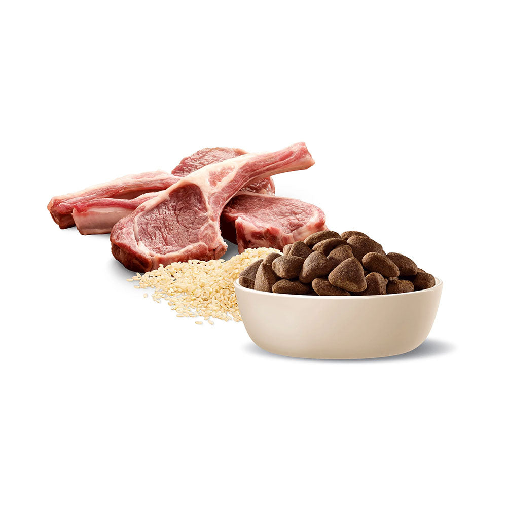 ADVANCE Adult Large Breed Lamb with Rice Dry Dog Food