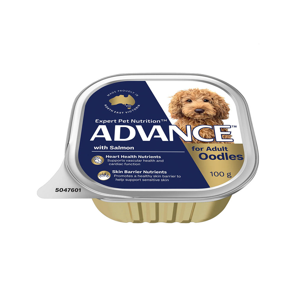 ADVANCE Oodles Adult with Salmon Trays Wet Dog Food