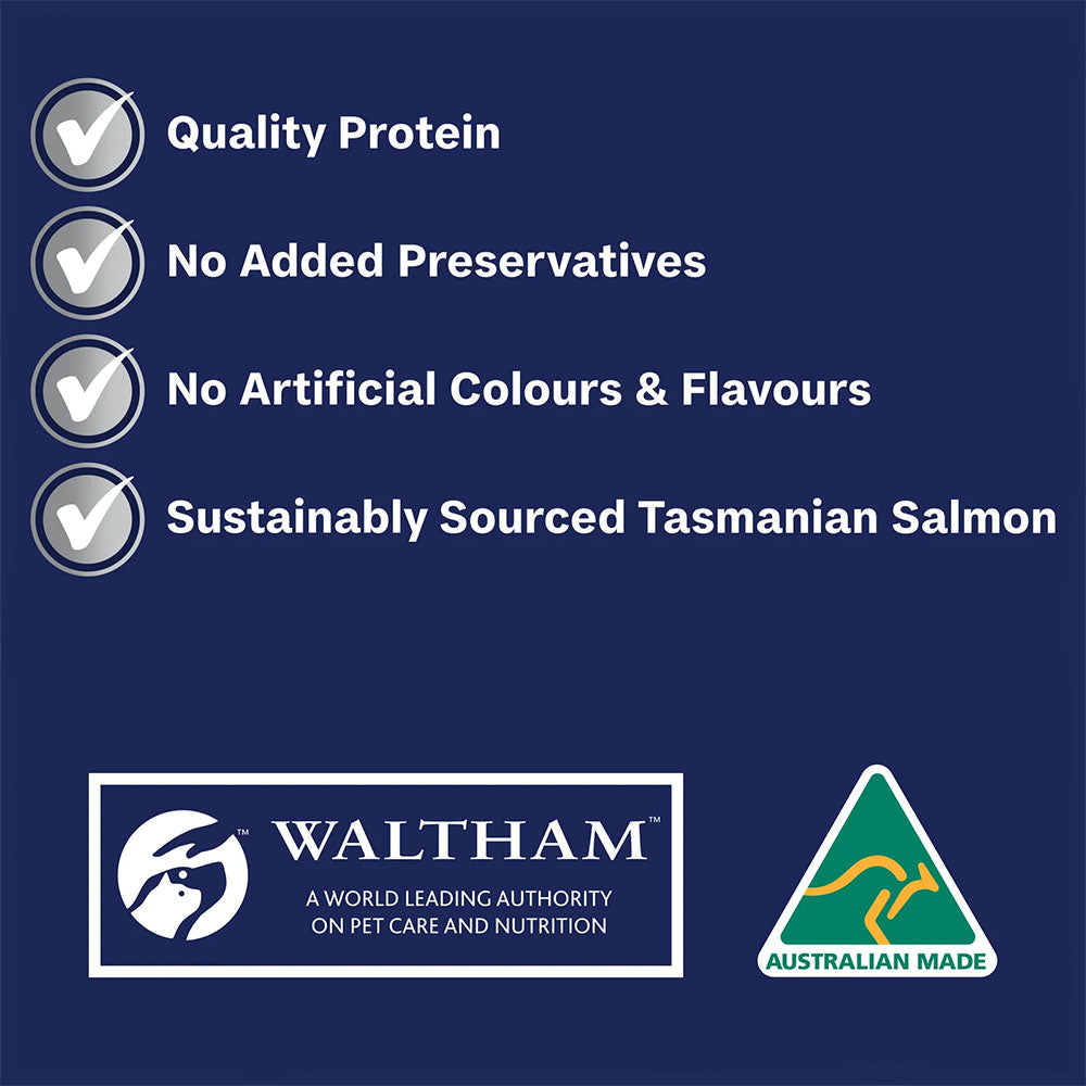 ADVANCE Oodles Adult with Salmon Trays Wet Dog Food