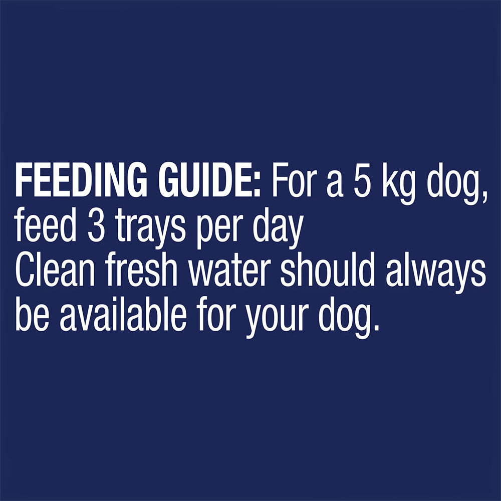 ADVANCE Oodles Adult with Salmon Trays Wet Dog Food
