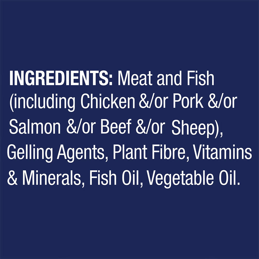 ADVANCE Oodles Adult with Salmon Trays Wet Dog Food
