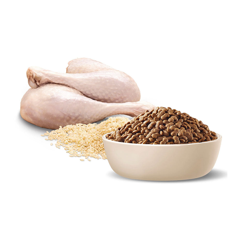 ADVANCE Adult Small Breed Turkey with Rice Dry Dog Food