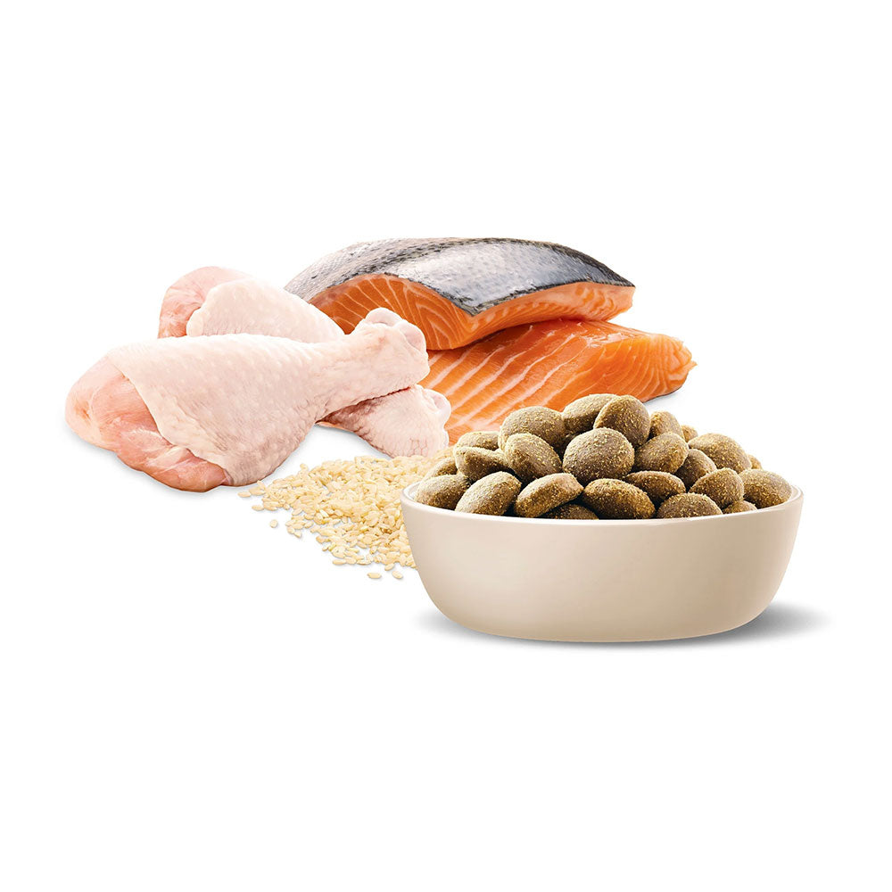 ADVANCE Retrievers Adult Large Breed Chicken & Salmon with Rice Dry Dog Food