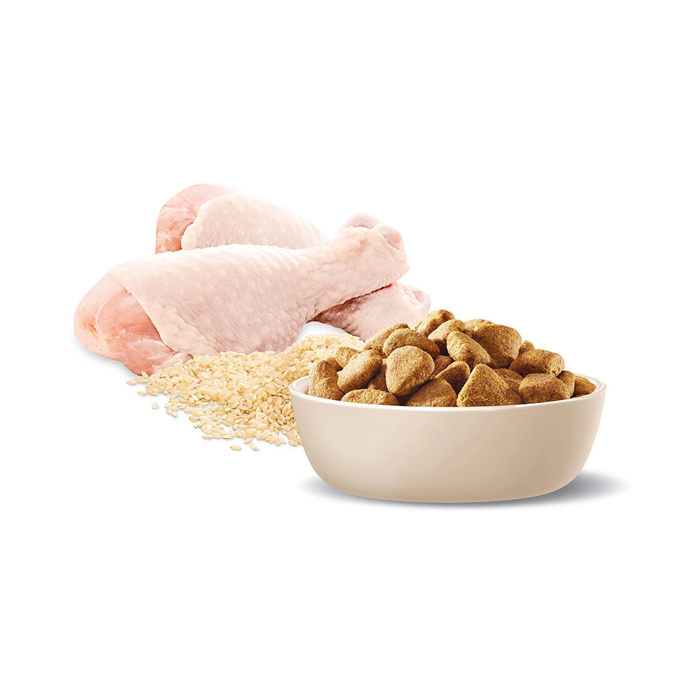 ADVANCE Healthy Weight Adult Large Breed Chicken with Rice Dry Dog Food