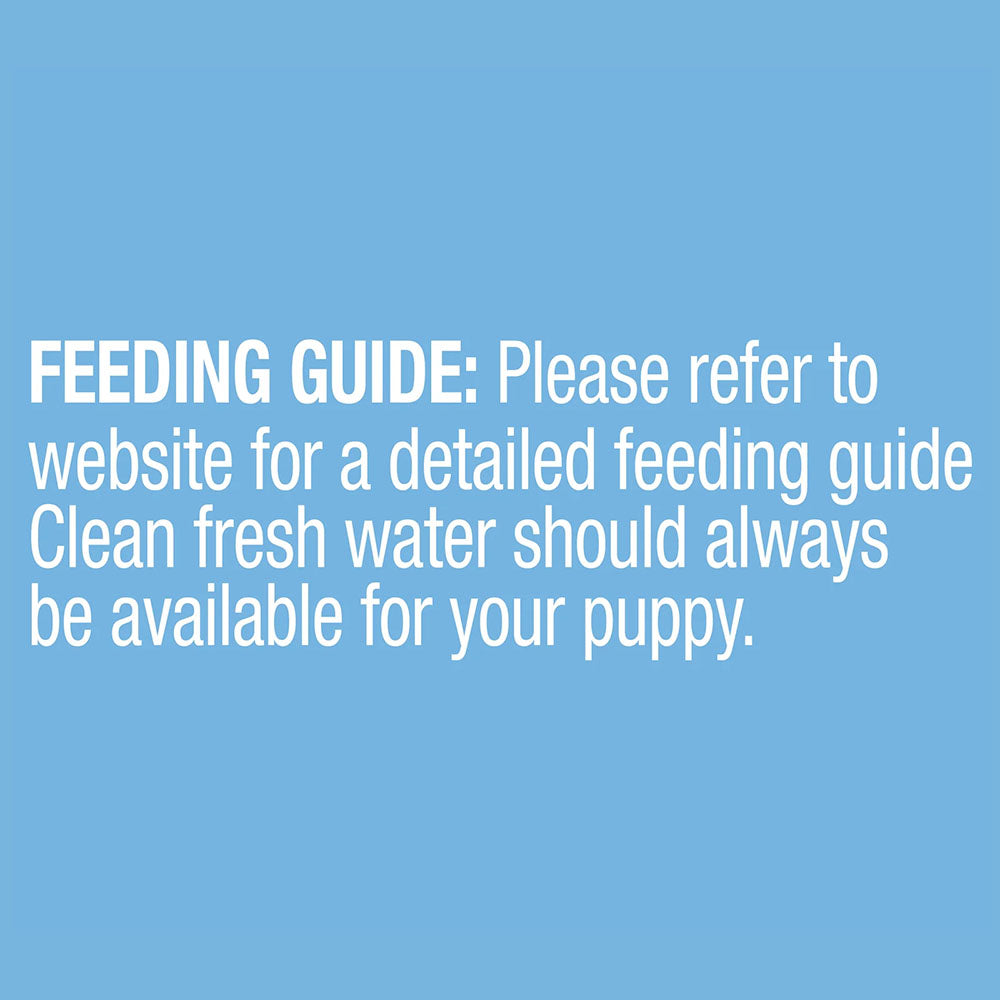 ADVANCE Puppy Lamb and Rice Trays Wet Dog Food