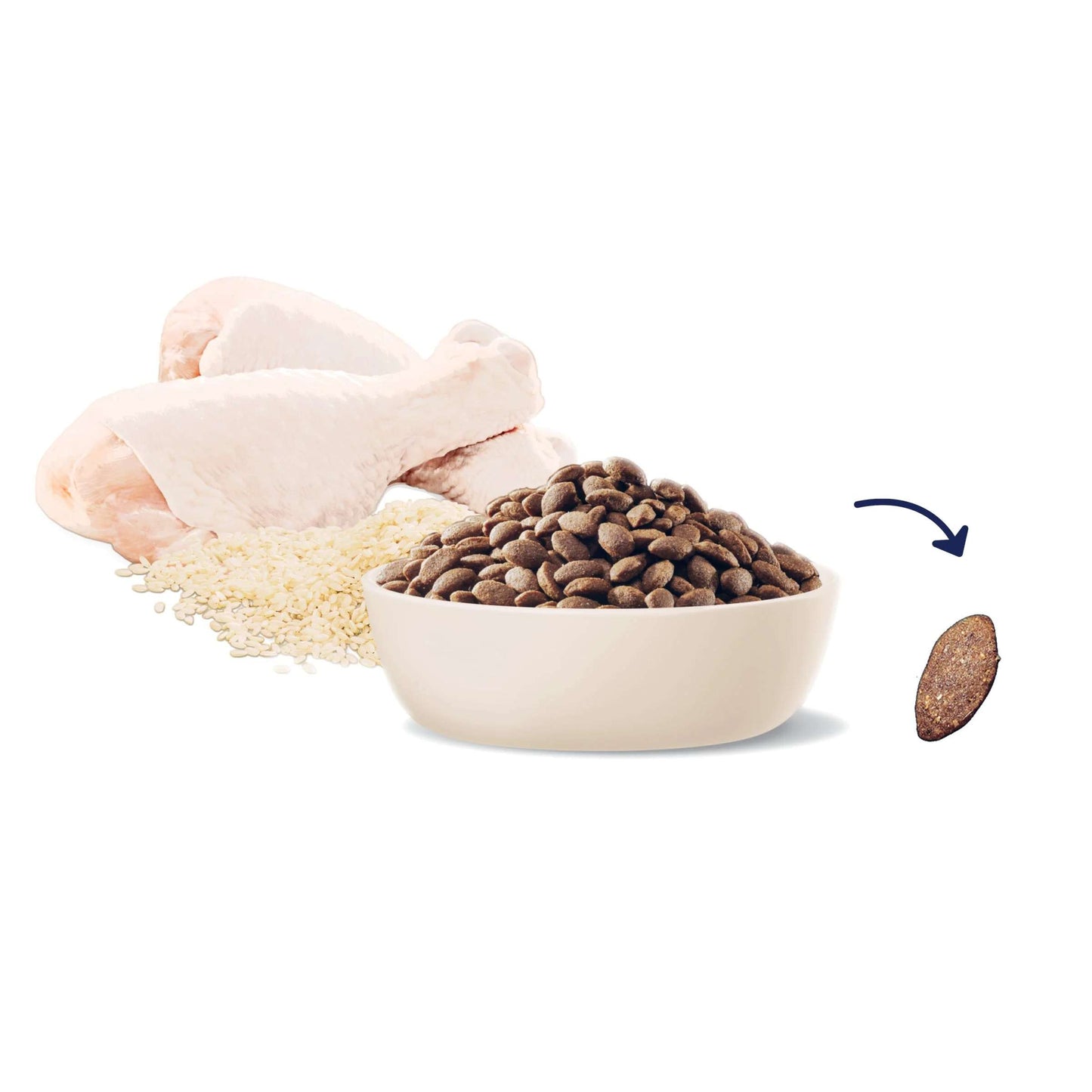 ADVANCE Puppy Large Breed Chicken with Rice Dry Dog Food