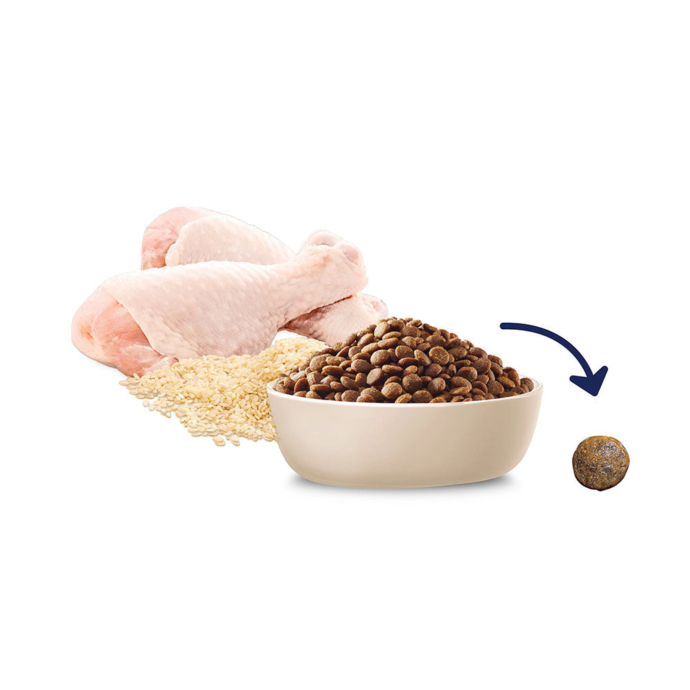 ADVANCE Puppy Medium Breed Chicken with Rice Dry Dog Food