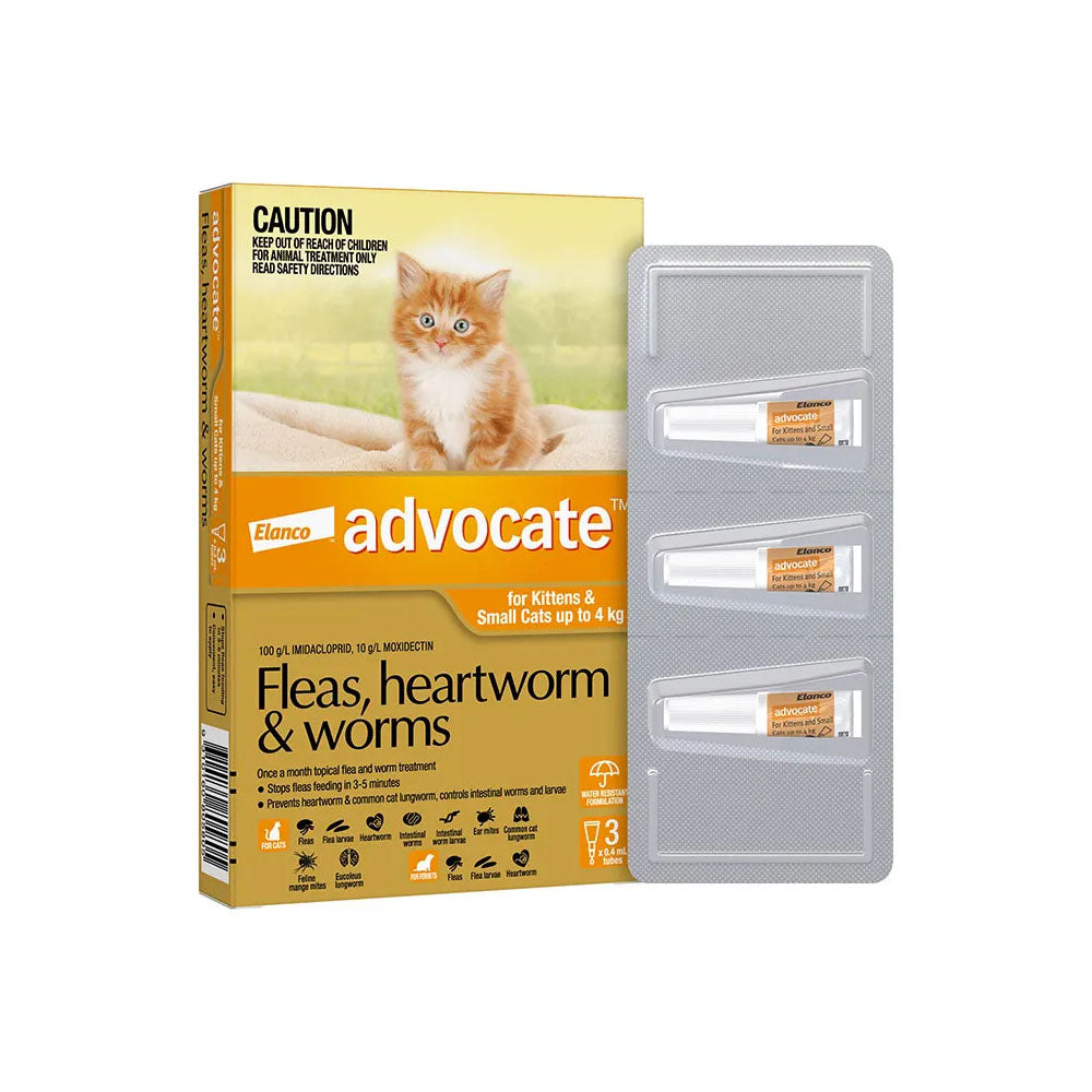 ADVOCATE For Kittens & Small Cats up to 4kg