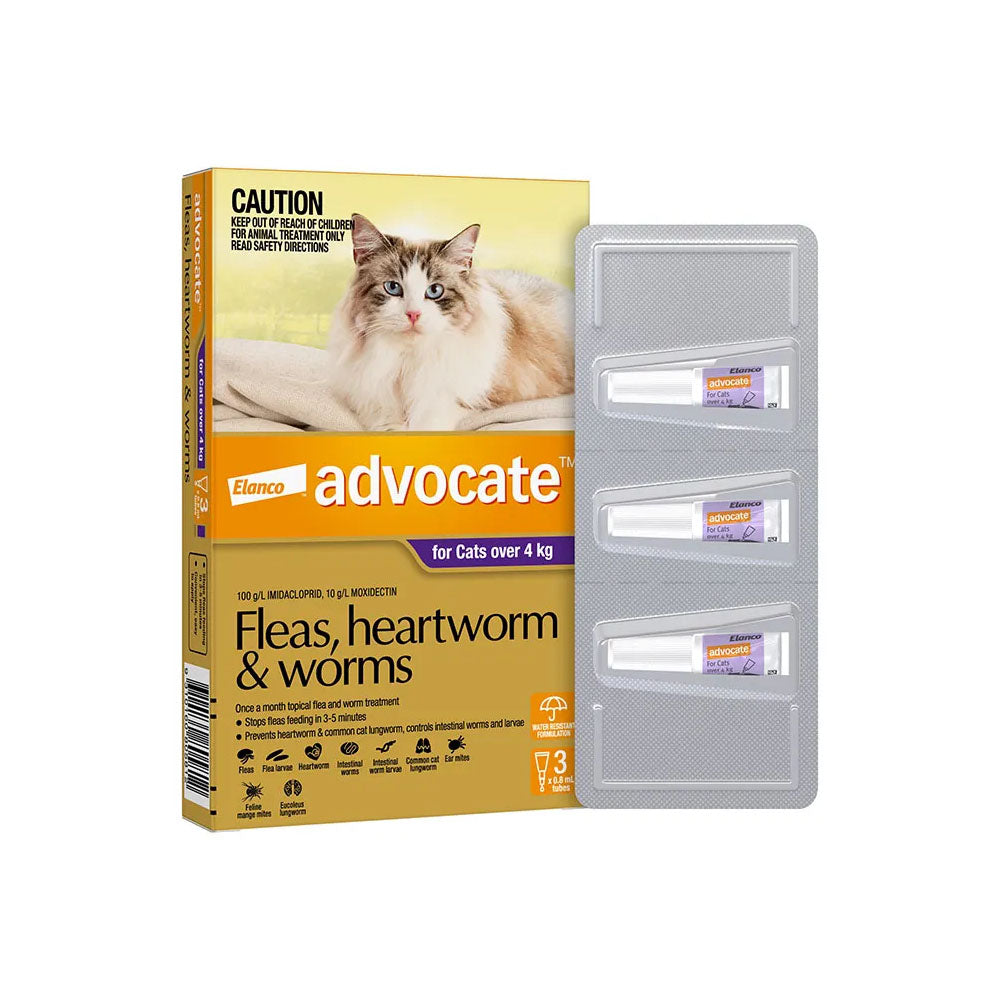 ADVOCATE For Cats over 4kg