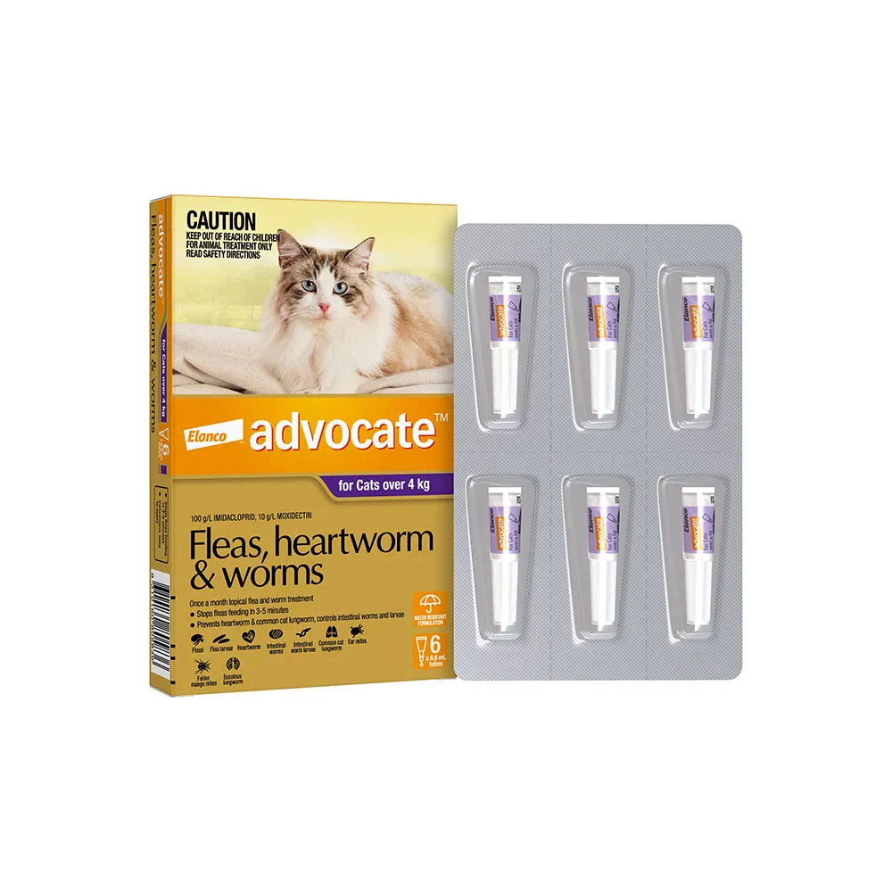 ADVOCATE For Cats over 4kg