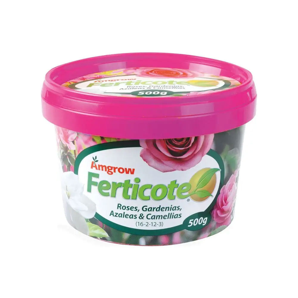 AMGROW Ferticote Rose, Gardenia, Azalea & Camellia