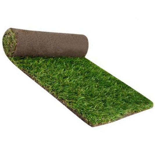ANCO Instant Turf Tall Fescue - per m2