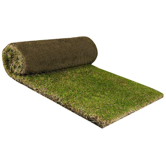 ANCO Instant Turf TifTuf - per m2