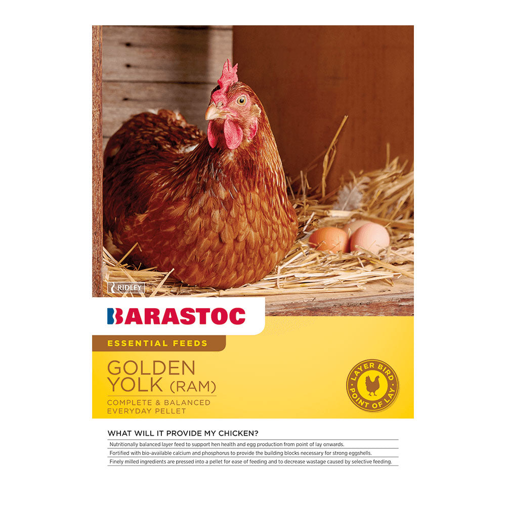 BARASTOC Golden Yolk Layers