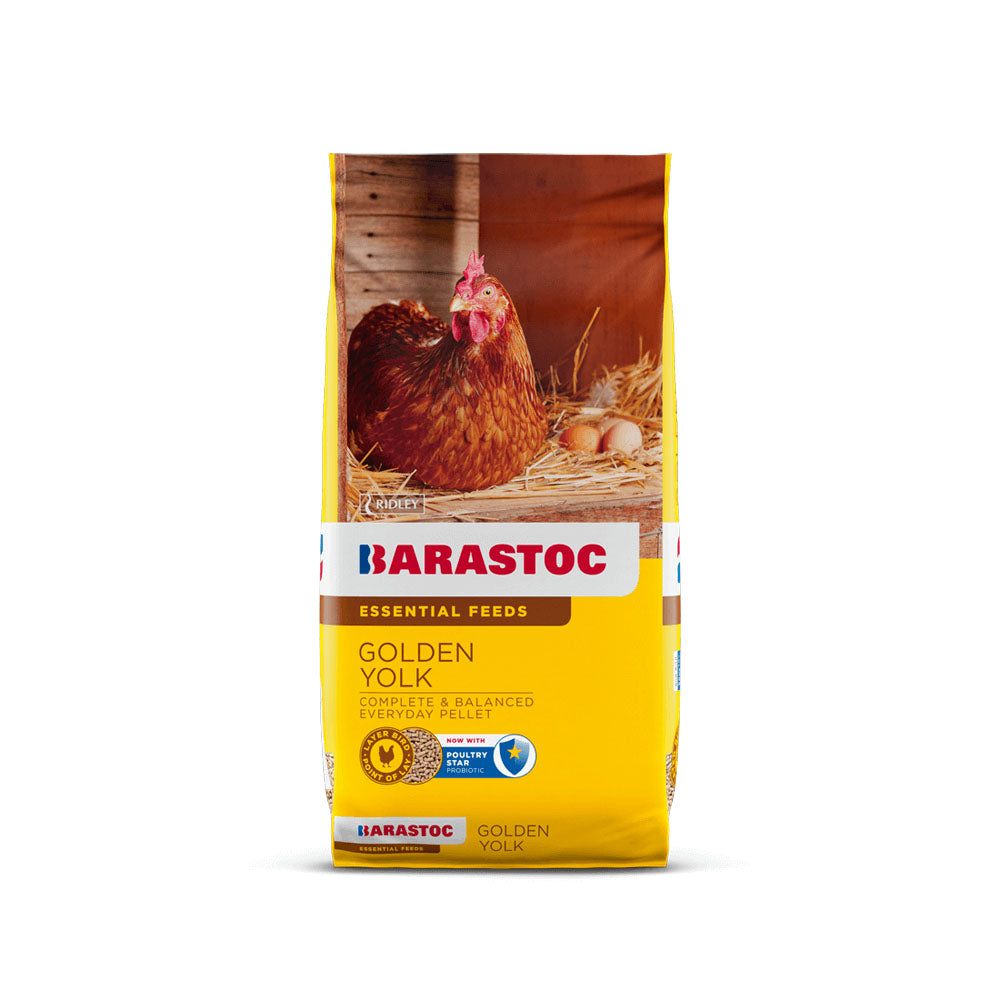 BARASTOC Golden Yolk Layers