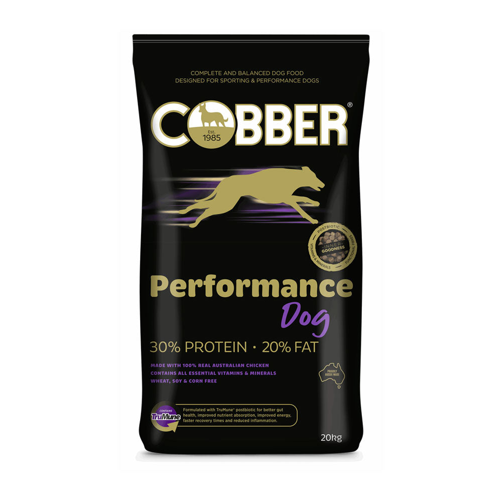 COBBER Performance Dog