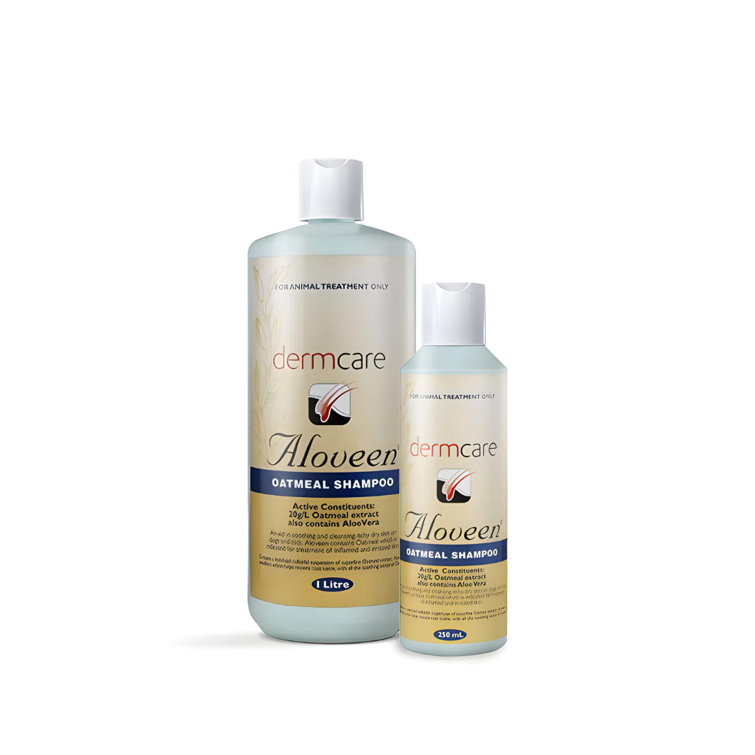DERMCARE Aloveen Shampoo