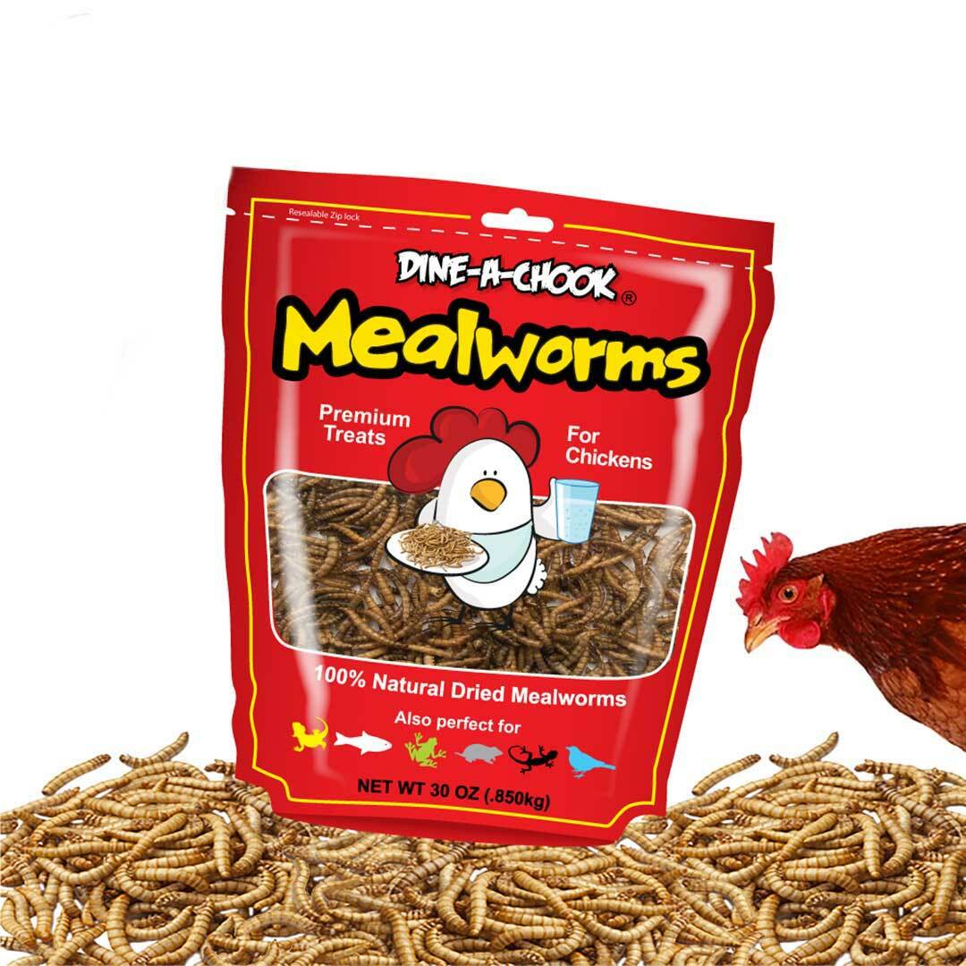 DINE A CHOOK Dried Mealworms