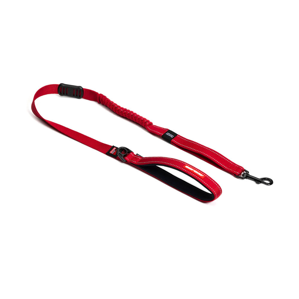 EZYDOG Zero Shock Leash