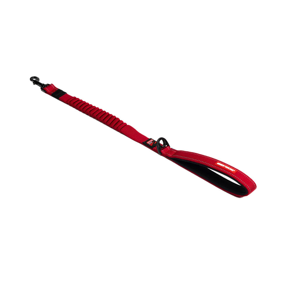 EZYDOG Zero Shock Leash