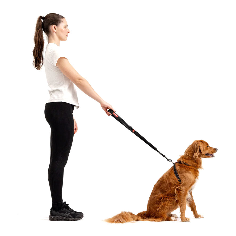 EZYDOG Zero Shock Leash