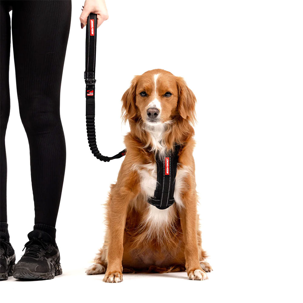 EZYDOG Zero Shock Leash