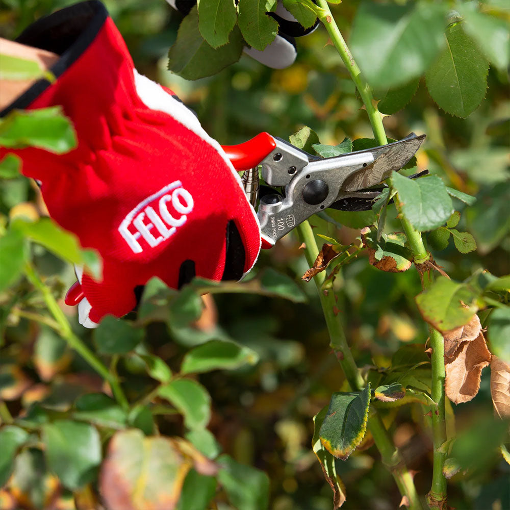FELCO 100 Pruning Shears / Secateurs