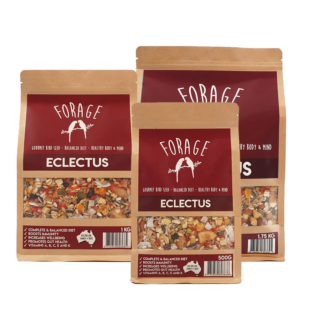 FORAGE GOURMET BIRD SEED Eclectus