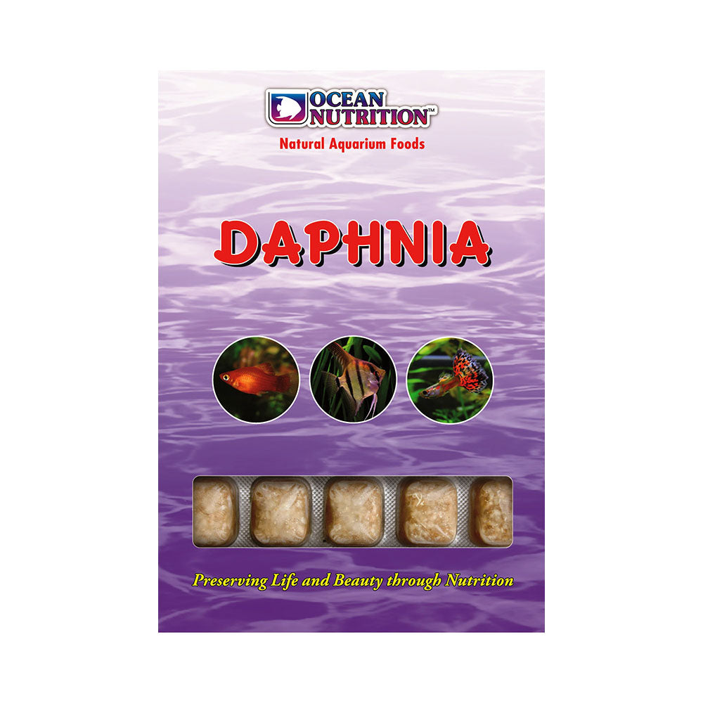 OCEAN NUTRITION Frozen Daphnia