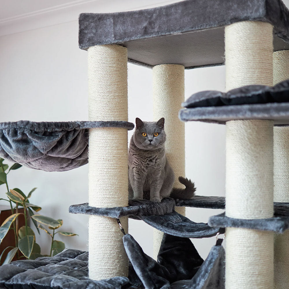 KAZOO Kitty Tower Playground