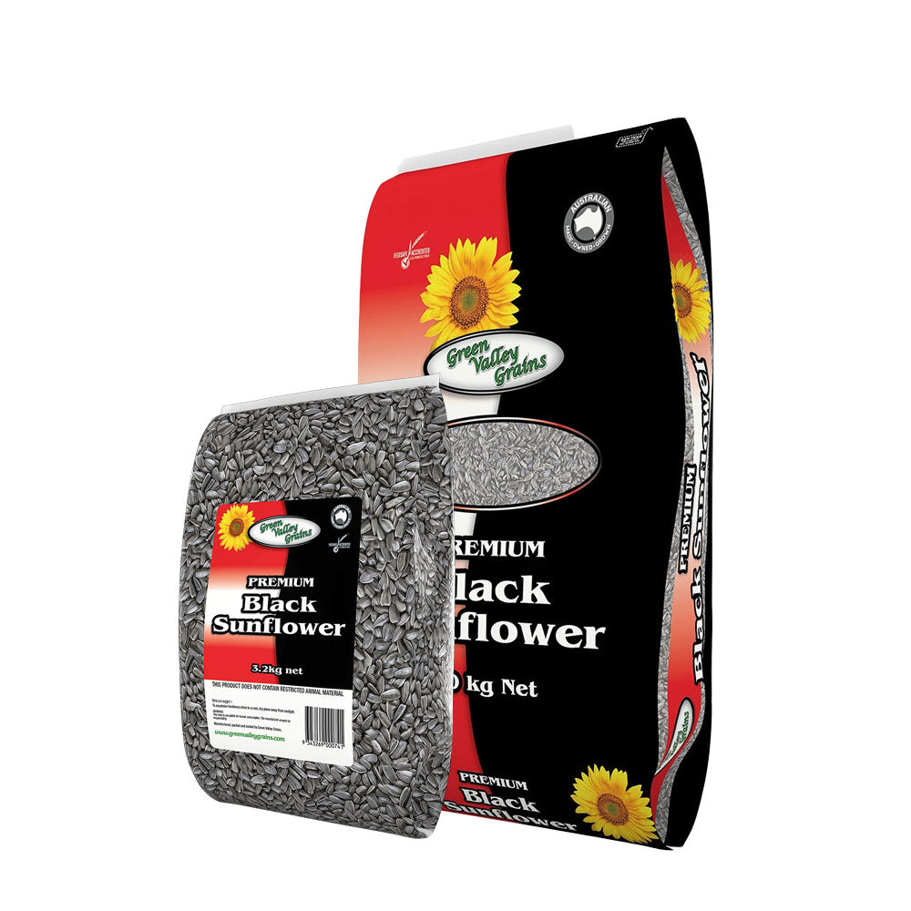 GREEN VALLEY GRAINS Premium Black Sunflower Seeds