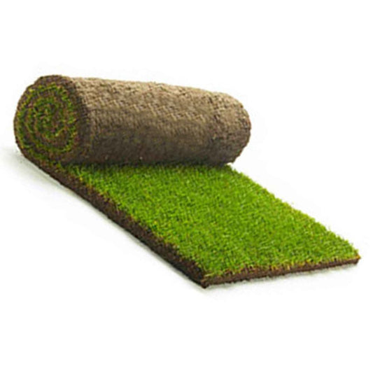 ANCO Instant Turf Nullarbor Santa Ana Couch - per m2