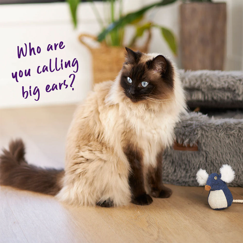KAZOO Big Ears Mouse With Catnip Cat Toy
