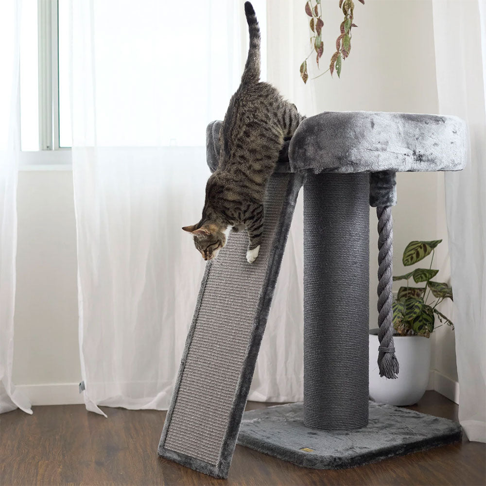 KAZOO High Bed Cat Scratch Post with Ramp - Charcoal
