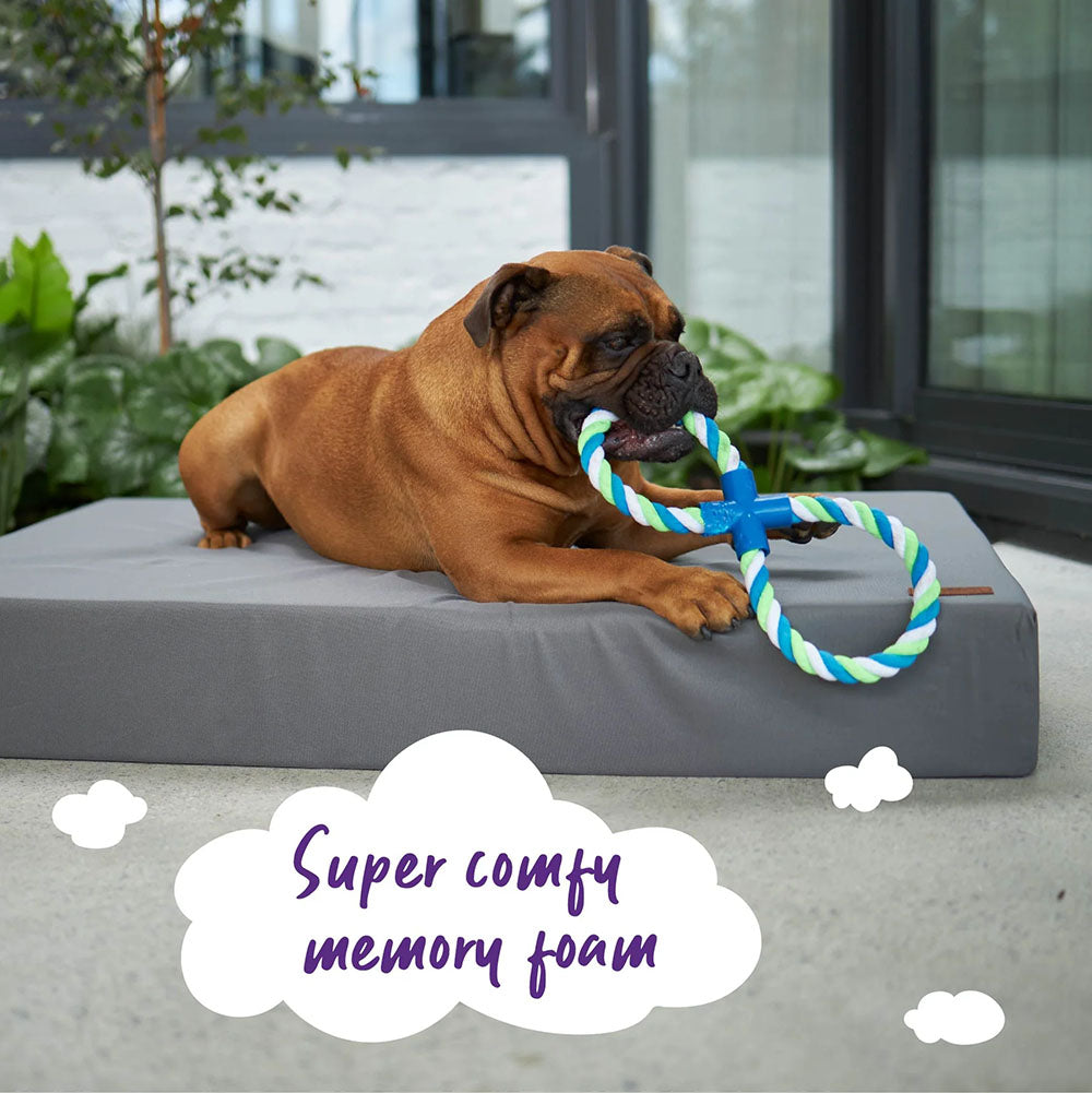 KAZOO Slumber Dog Bed - Slate