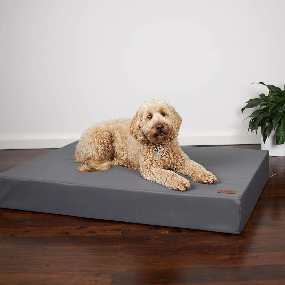 KAZOO Slumber Dog Bed - Slate