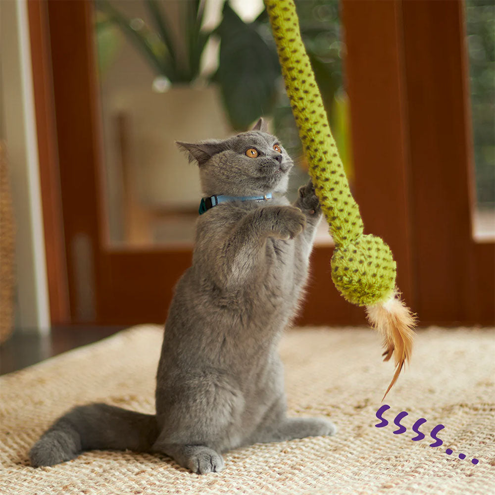 KAZOO Spotty Snake Play & Chase Wand